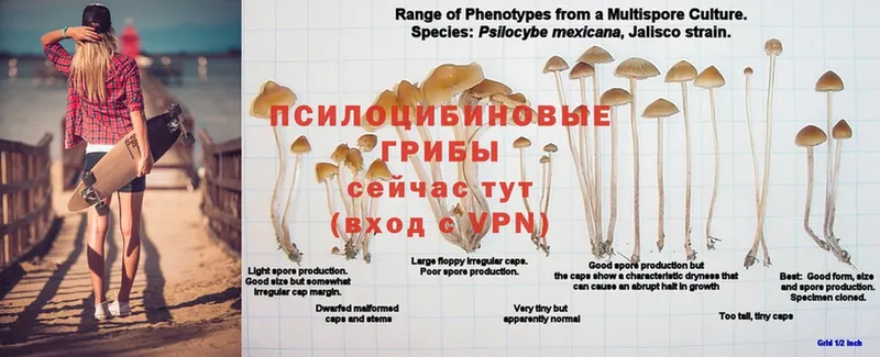 Цена Нижнекамск APVP  ОМГ ОМГ сайт  Гашиш 